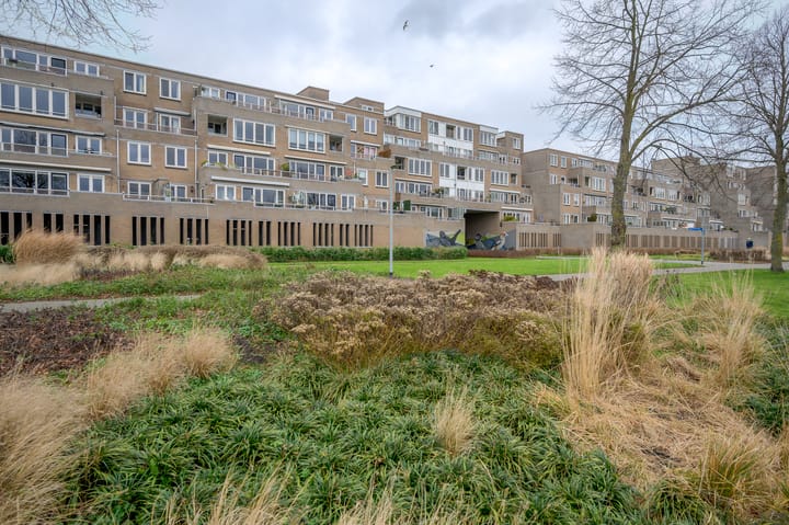 Foto 6 van Harderwijkoever 147