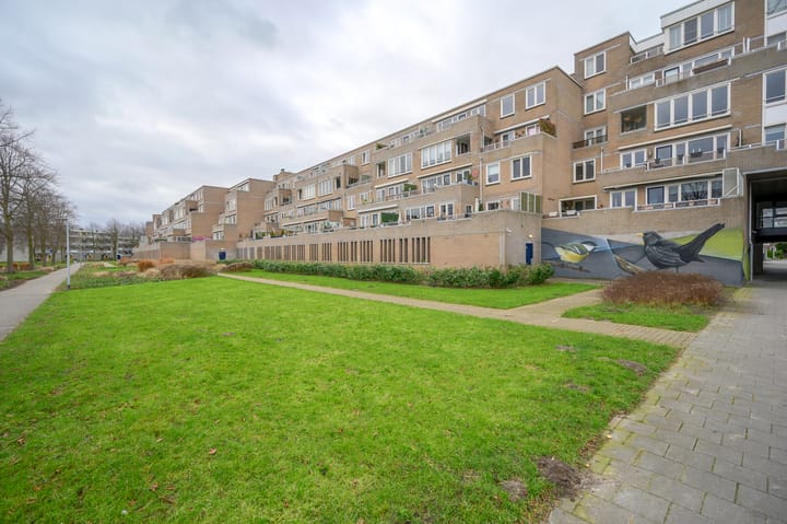 Foto 8 van Harderwijkoever 147