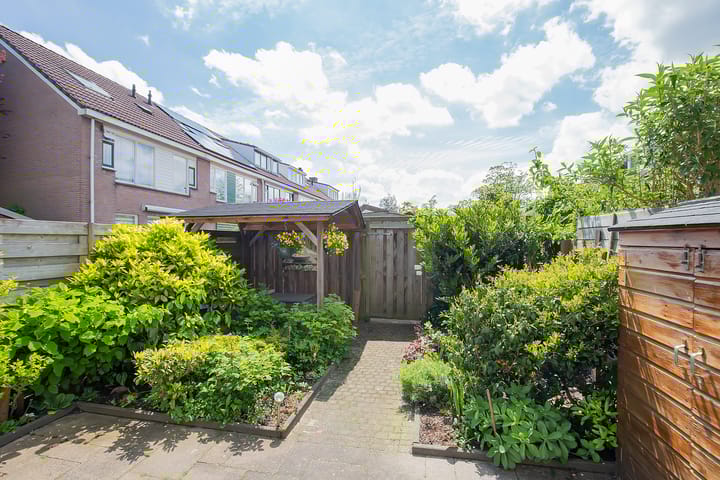 Photo 31 of Middenland 7
