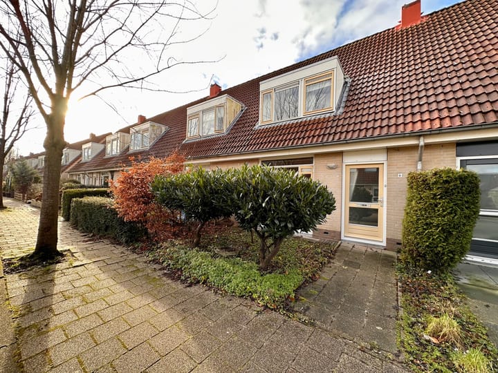 Foto 1 van Duinroos 6