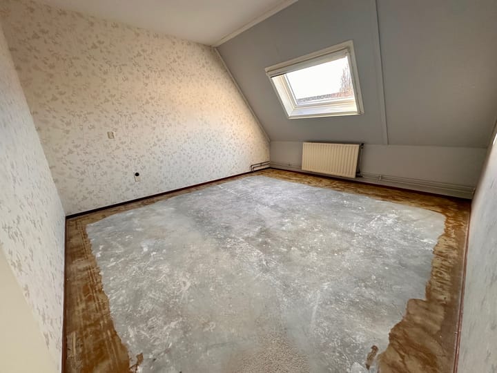 Foto 3 van Duinroos 6