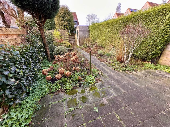 Foto 4 van Duinroos 6