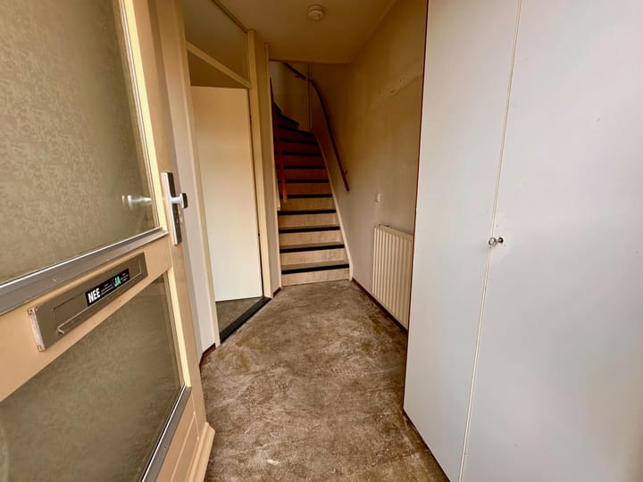 Foto 6 van Duinroos 6