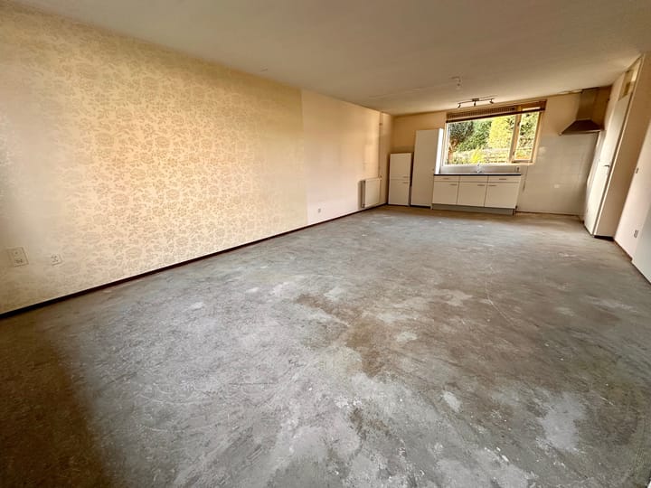 Foto 7 van Duinroos 6