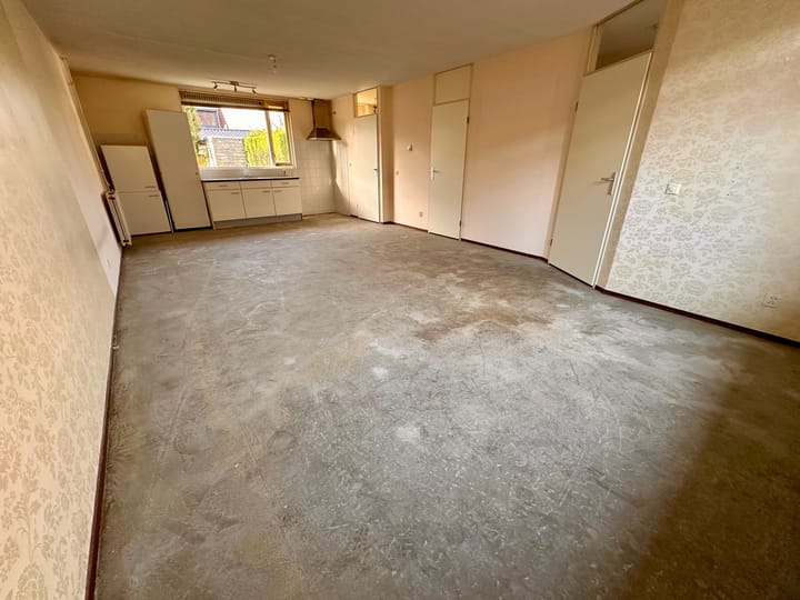 Foto 8 van Duinroos 6