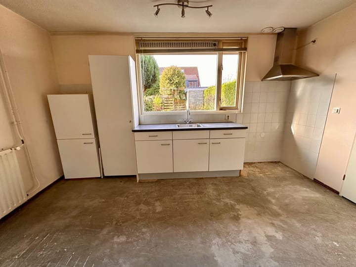 Foto 9 van Duinroos 6