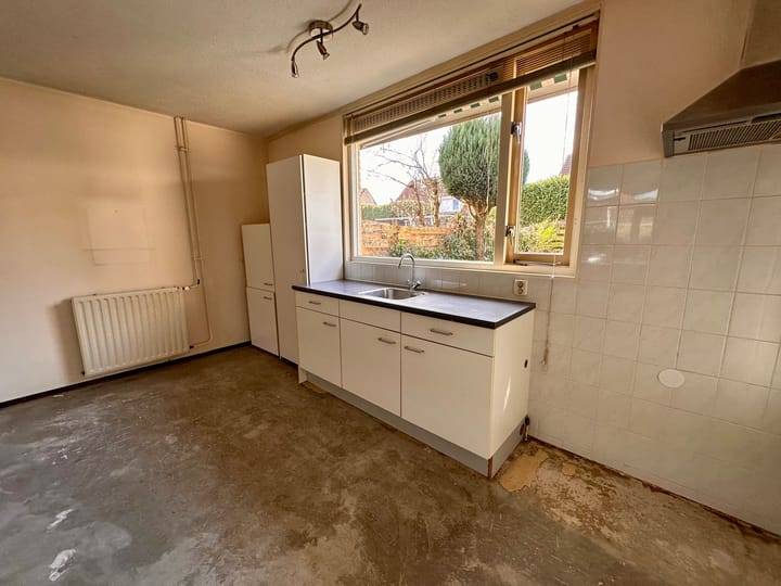 Foto 10 van Duinroos 6