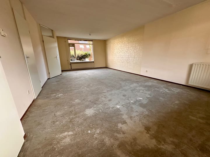 Foto 11 van Duinroos 6