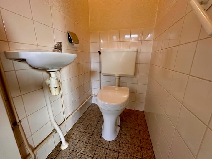 Foto 15 van Duinroos 6