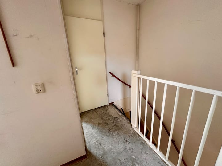 Foto 16 van Duinroos 6