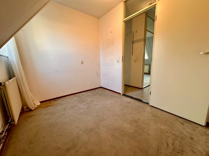 Foto 23 van Duinroos 6