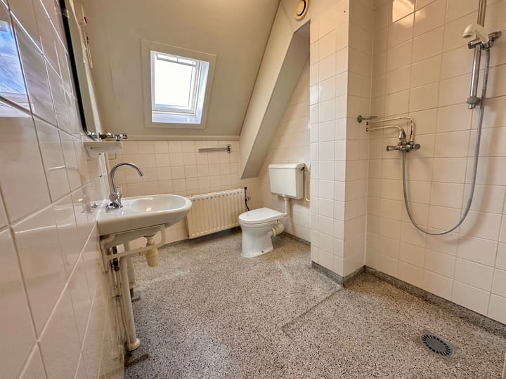 Foto 24 van Duinroos 6