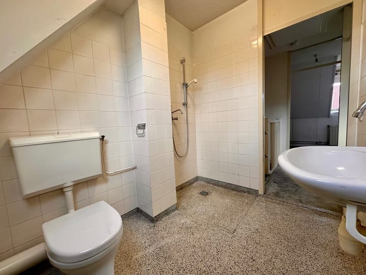 Foto 25 van Duinroos 6