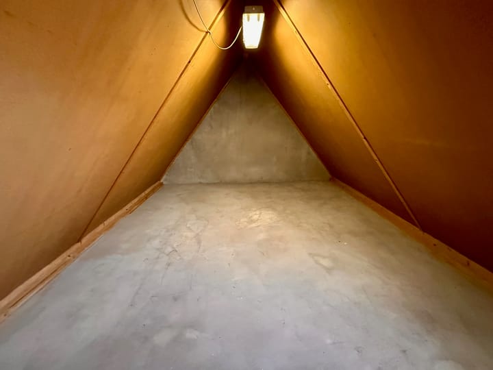 Foto 27 van Duinroos 6