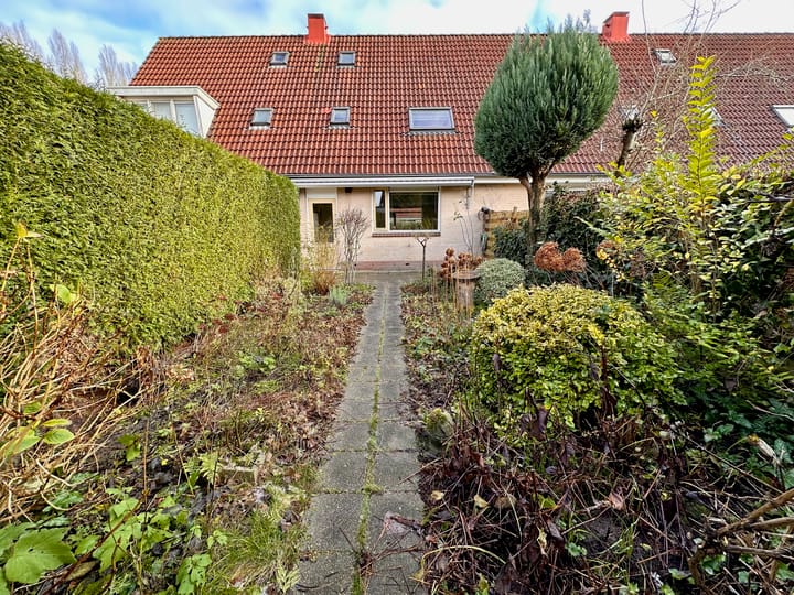 Foto 28 van Duinroos 6