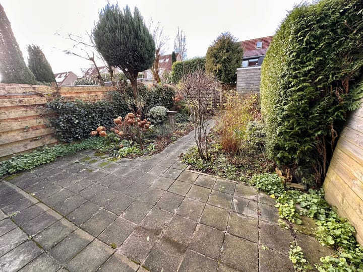 Foto 29 van Duinroos 6