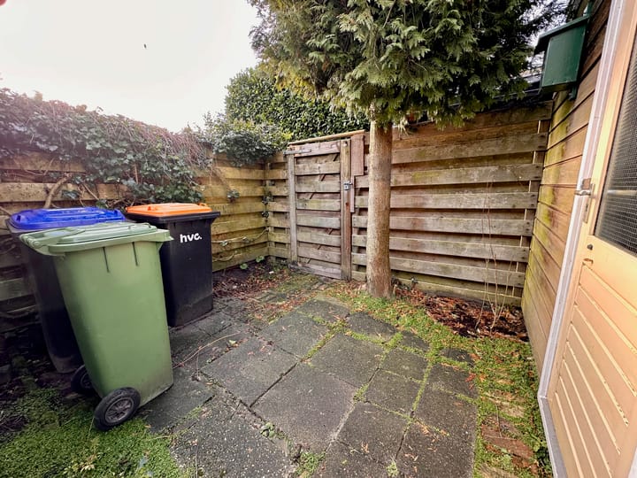 Foto 30 van Duinroos 6