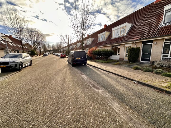 Foto 33 van Duinroos 6