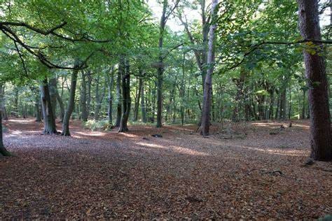 Foto 38 van Kanaalstraat 208