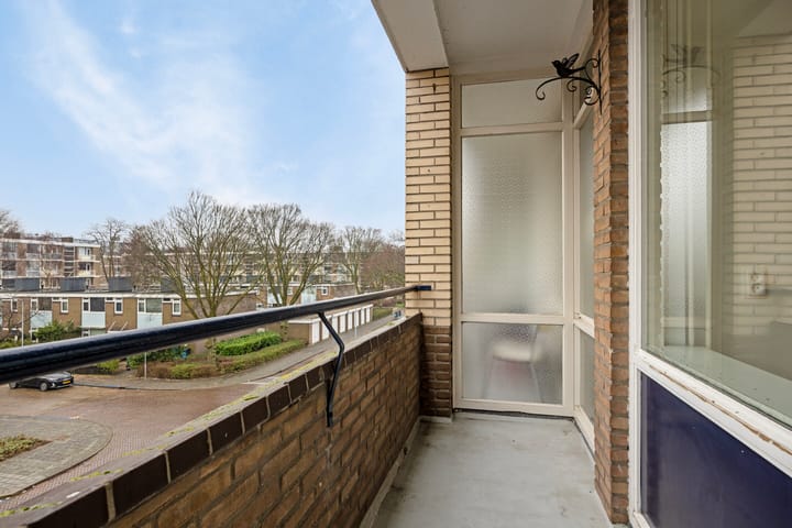 Foto 10 van Scheltuslaan 207