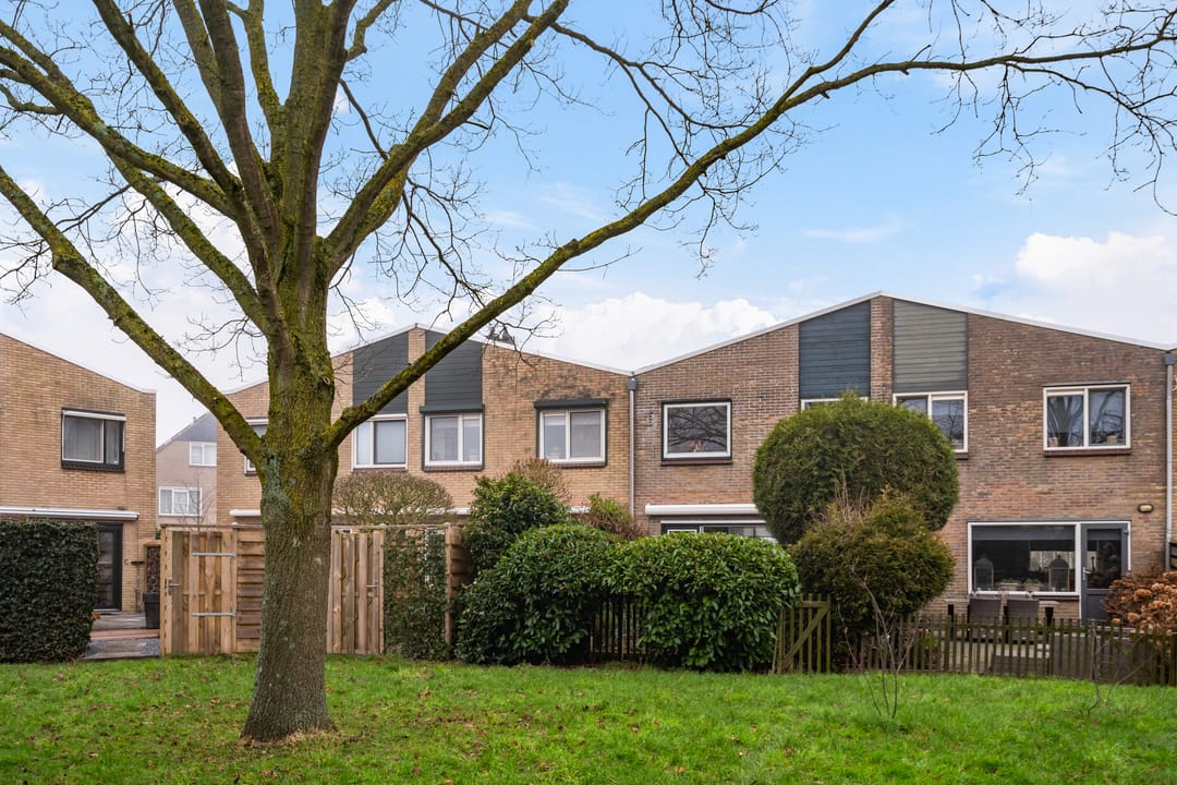 Photo 2 of Fresia 22