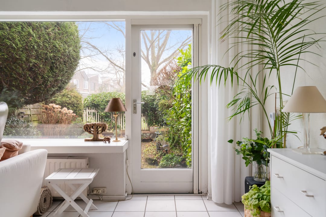 Photo 8 of Fresia 22