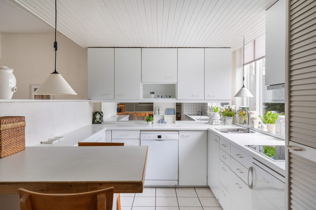 Photo 17 of Fresia 22