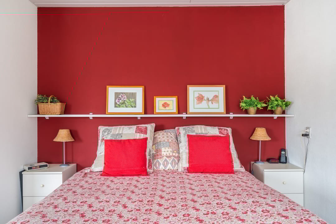 Photo 31 of Fresia 22