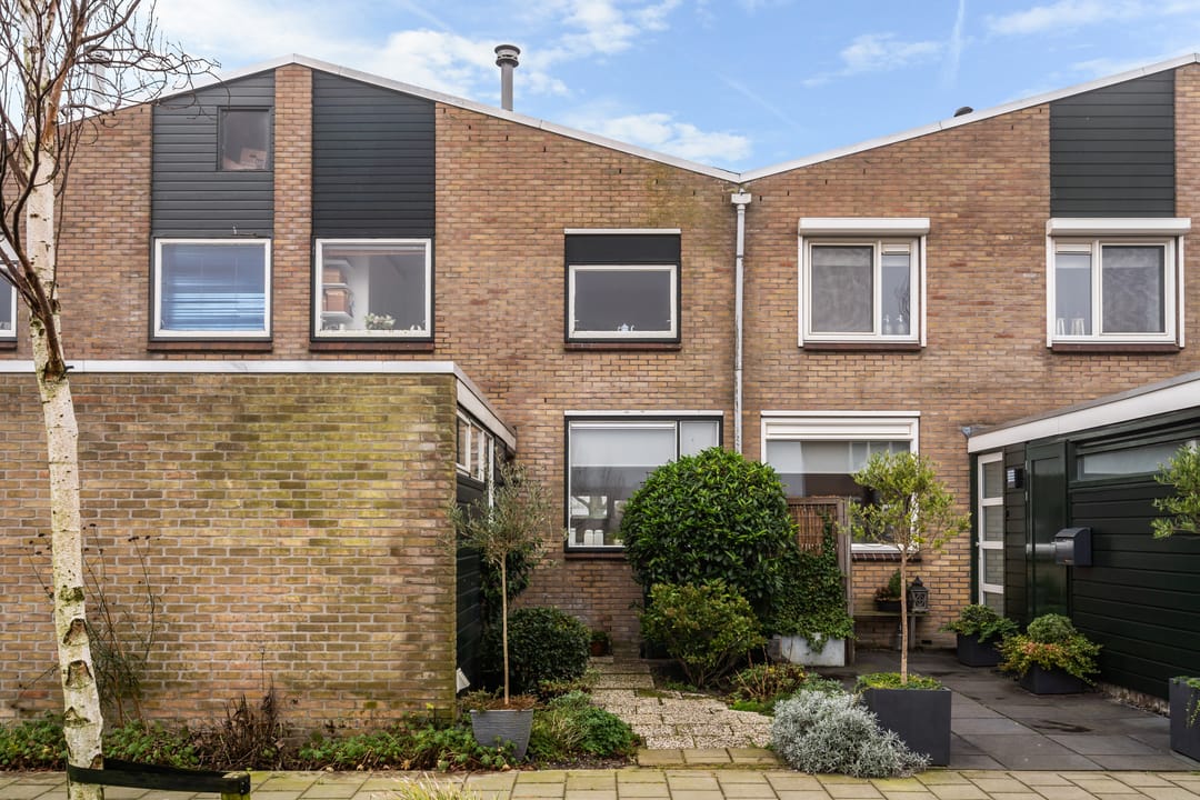 Photo 41 of Fresia 22