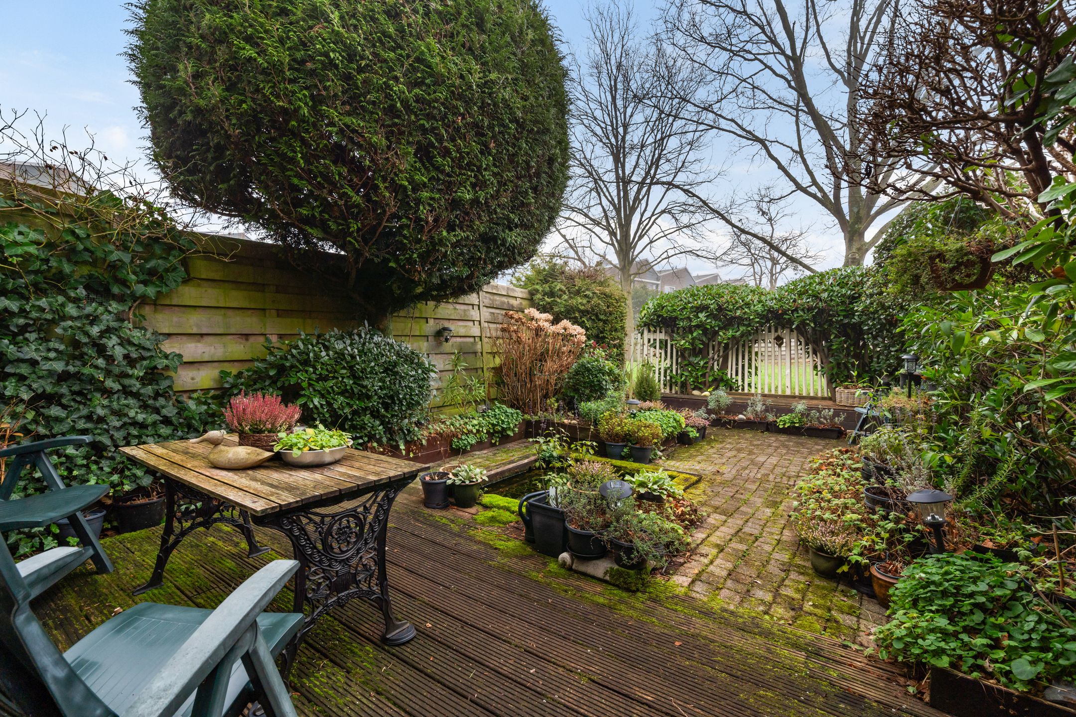 Photo 45 of Fresia 22