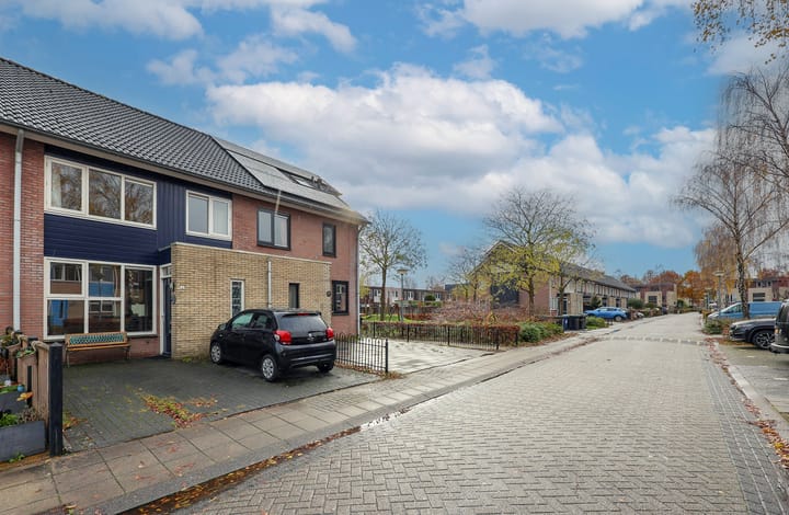 Foto 40 van Paulus Potterstraat 28