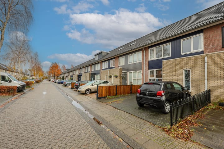 Foto 41 van Paulus Potterstraat 28