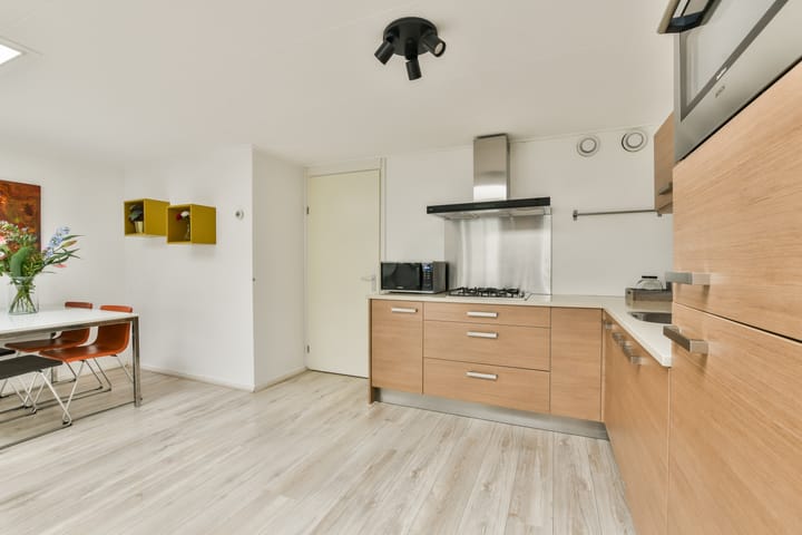 Foto 9 van Ruyschstraat 313-B