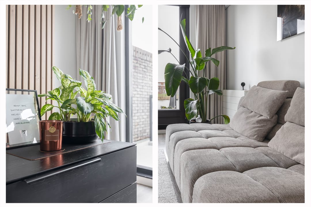 Foto 26 van Schuddebeursstraat 196