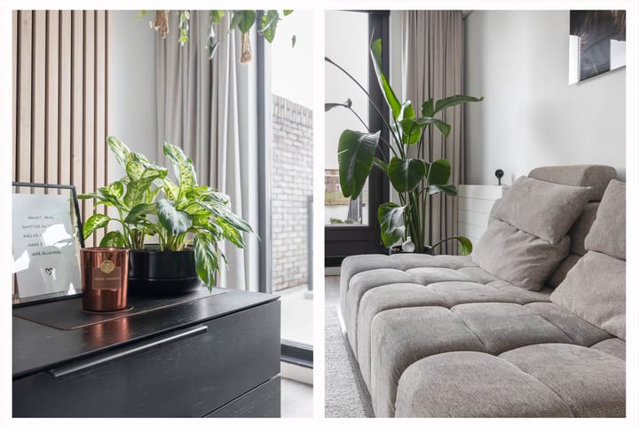 Foto 26 van Schuddebeursstraat 196