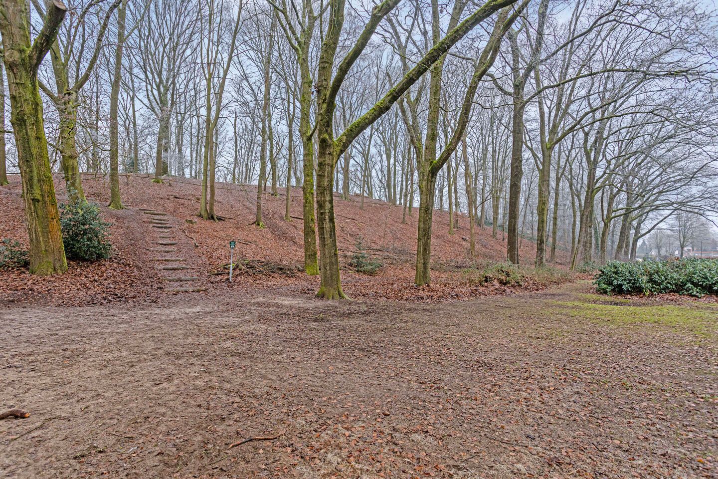 Photo 55 of 't Veld 7