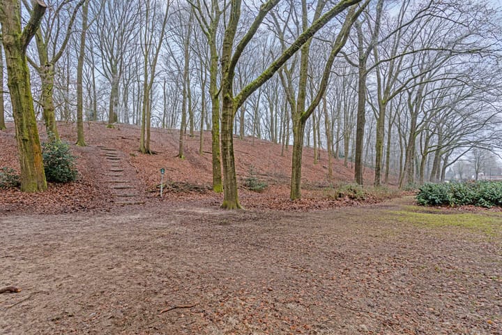 Foto 55 van 't Veld 7