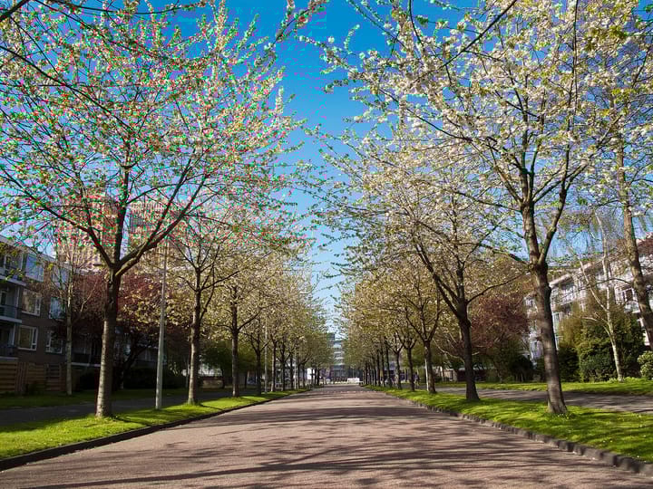 Foto 21 van Schierstins 115