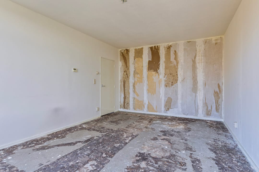 Foto 7 van Schaepmanstraat 149