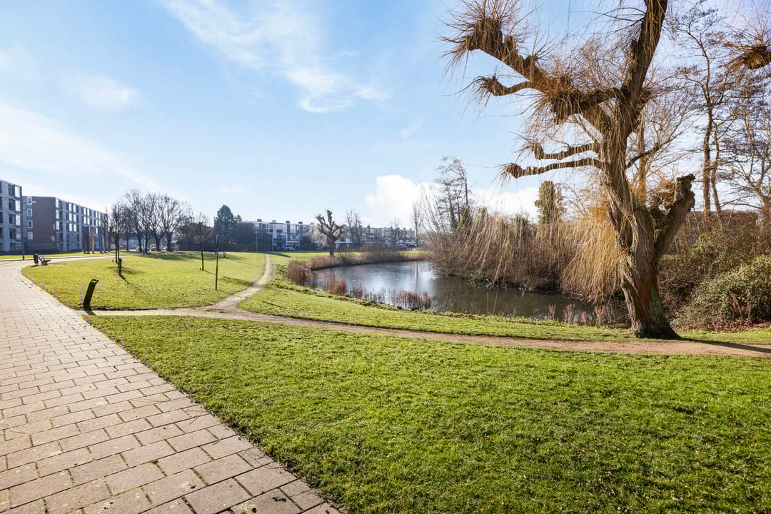 Foto 26 van Schaepmanstraat 149