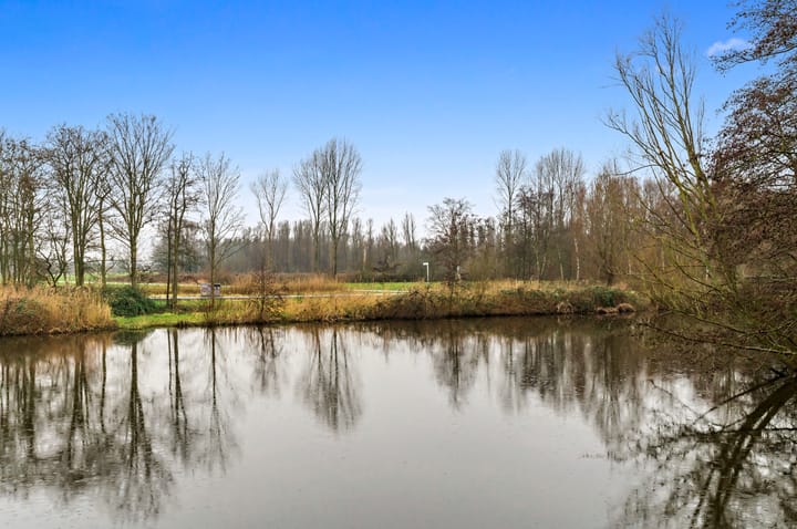 Foto 34 van Roemer Visscherstraat 79