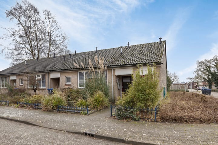 undefined main image