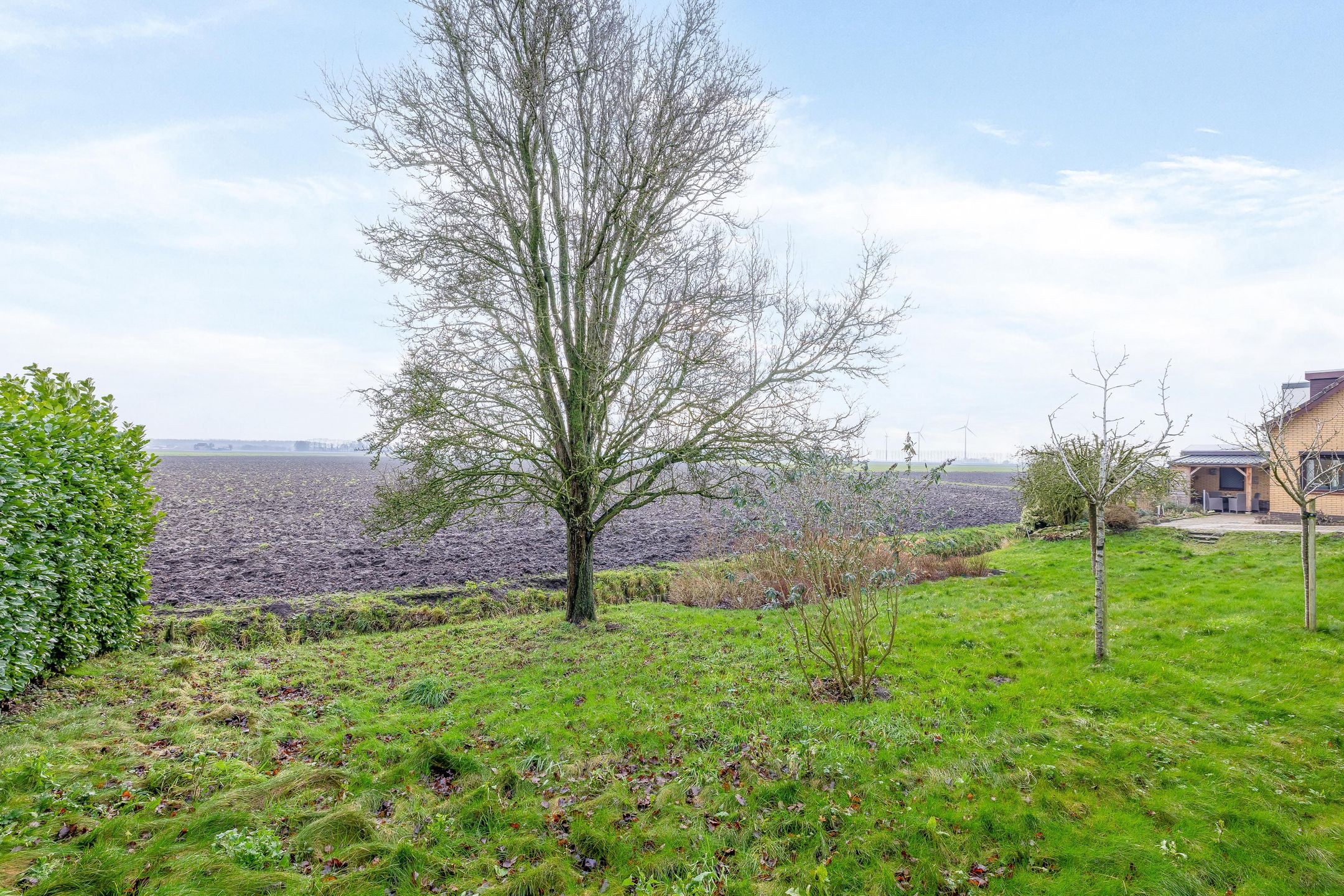 Foto 24 van Zuiddijk 20