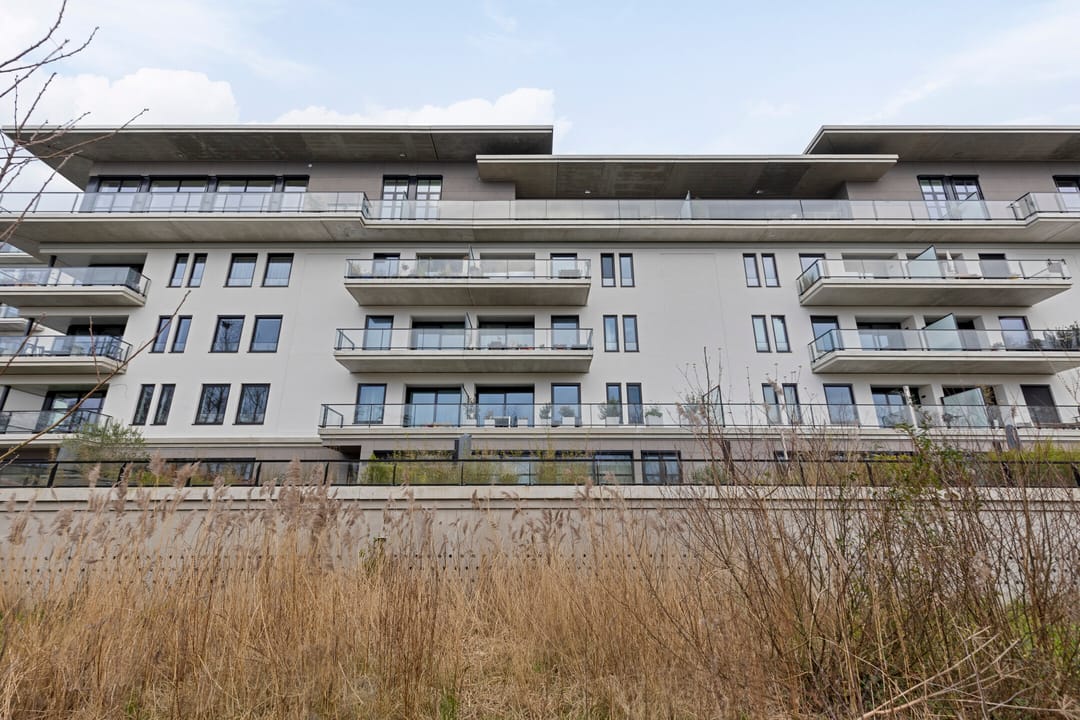 Photo 31 of Burgemeester Rijnderslaan 428