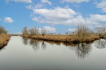 Kooilandsedijk 2 secondary image