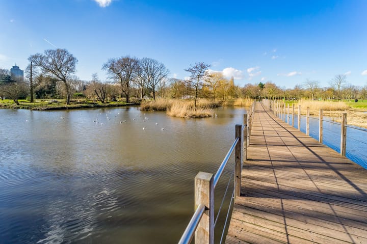 Photo 26 of Johannes van der Waalsstraat 2-2