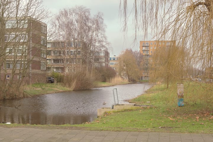 Foto 29 van Datheenstraat 281