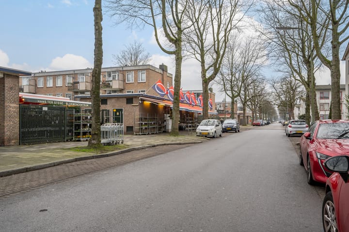 Foto 21 van René van Chalônstraat 5