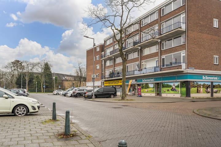 Foto 24 van Ogierssingel 127