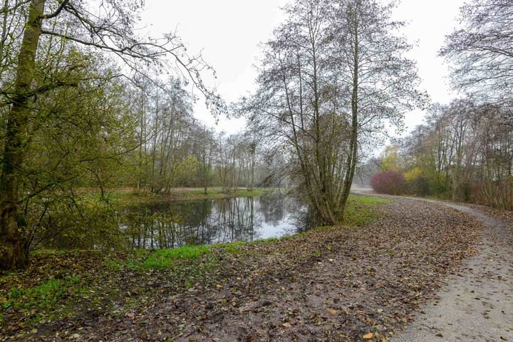 Foto 5 van Hanebalken 7